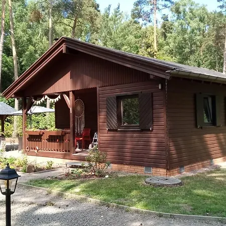 Ferienhaeuser Wagenfeld Hébergement de vacances