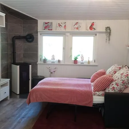 Ferienhaeuser Wagenfeld Holiday home Buchholz Aller