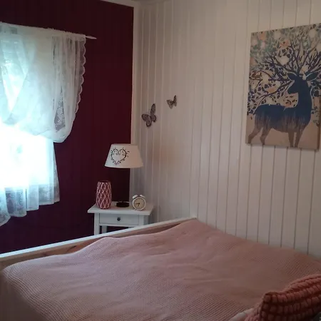 Ferienhaeuser Wagenfeld Holiday home Buchholz Aller