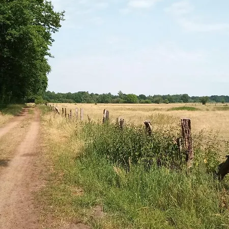 Ferienhaeuser Wagenfeld *