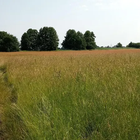 Ferienhaeuser Wagenfeld Hébergement de vacances Buchholz